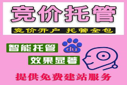 百度竞价代运营实战：某电商平台的销量翻倍秘诀