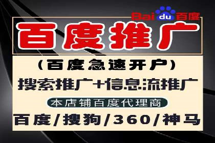 案例解析：SEM投放助力电商增长